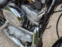 2001 Harley-Davidson 883 Sportster Custom 883cc-Sold