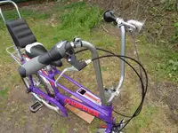 c2010 Raleigh Chopper Mk3-Sold