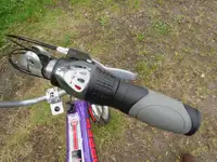 c2010 Raleigh Chopper Mk3-Sold