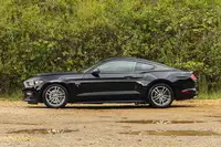 2015 Mustang 5.0 V8 GT -Sold