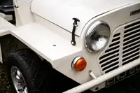 1965 Austin Mini Moke-Sold
