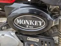 1979 Honda Z50J 49cc-Sold