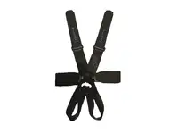 Michael Schumacher Race-Used and Signed Seat Belts-For Sale
