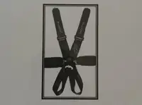 Michael Schumacher Race-Used and Signed Seat Belts-For Sale