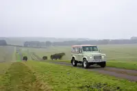 1996 Land Rover Defender 110-Sold