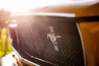 1965 Ford Mustang FIA-Sold