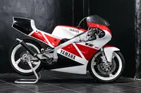 ヤマハ TZ Iconic Auctioneers | 1994 Yamaha TZ125 4JT 124cc-Sold