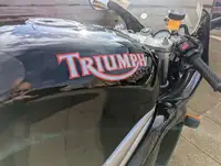 1997 Triumph T595 Daytona 955cc-Sold