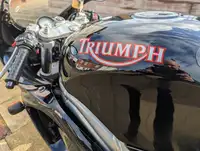 1997 Triumph T595 Daytona 955cc-Sold