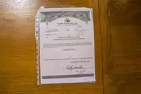 1991 Classic Roadsters Saxon 'Healey' 2.8 Convertible-For Sale