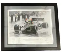 'Birth of a Legend' Ayrton Senna by Robert Tomlin. Team-Sign-For Sale