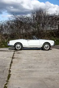 1963 Alfa Romeo Giulia Spider 1600 (Tipo 101.23)-Sold