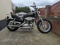 2006 Harley Davidson Sportster XL1200 Low 1200cc-Sold