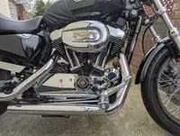 2006 Harley Davidson Sportster XL1200 Low 1200cc-Sold