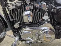 2006 Harley Davidson Sportster XL1200 Low 1200cc-Sold