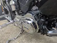 2006 Harley Davidson Sportster XL1200 Low 1200cc-Sold