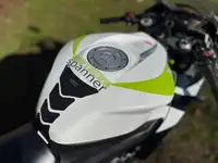 2009 Honda CBR600RR HANNspree Edition 599cc-Sold