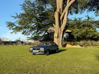 1982 Ford Capri 2.0 GL-For Sale