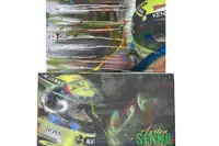 A Pair of Ayrton Senna Original 'Graffiti' Paintings on Canv-For Sale