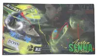 A Pair of Ayrton Senna Original 'Graffiti' Paintings on Canv-For Sale
