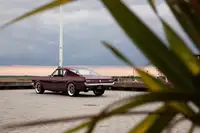 1966 Ford Mustang GT Fastback with Gas Monkey Connections-Sold