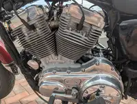 2007 Harley Davidson Sportster 883-Sold