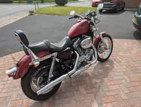 2007 Harley Davidson Sportster 883-Sold