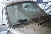 1989 Porcshe 911 3.2 Carrera Sport Coupé - barn find-Sold