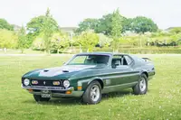 1971 Ford Mustang Mach 1 351 Auto-For Sale
