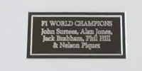 Large Framed and Glazed Chequered Flag Signed by Five Formul-For Sale