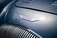 1953 Austin-Healey 100/4 BN1 ‘Cape Works’ Special-For Sale