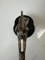 1920s Packard 'Goddess Of Speed' American Radiator Mascot-For Sale
