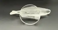 'Perche' Mascot by René Lalique in Opalescent Glass-For Sale