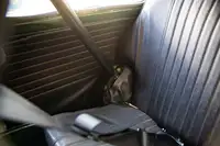 1969 Morris Mini Cooper-For Sale