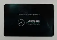 Eclectic Mix of Mercedes AMG Petronas Memerabila From a Seni-Sold