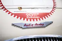 1955 FIA Austin Healey 100 to 100M Specification-Sold