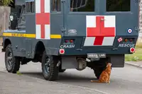 1969 Land Rover Series IIA - RAF Ambulance -For Sale