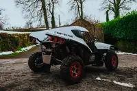 2009 McRae Buggy-For Sale
