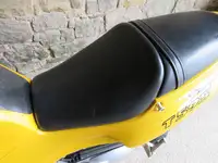 1997 Triumph T595 Daytona 955cc-For Sale