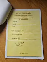 1984 Renault 5 Gordini Turbo-For Sale