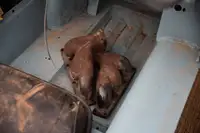 1962 Jaguar E-Type Series I 3.8-Litre Roadster Project-For Sale