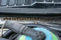 1988 Audi Quattro UR MB-Sold