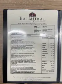 1995 Rolls-Royce Silver Spirit III-Sold