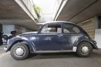 1970 Volkswagen Beetle Barn Find-Sold