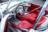 1956 Austin-Healey 100 BN2 (FIA)-Sold