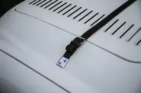 1956 Austin-Healey 100 BN2 (FIA)-Sold