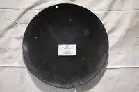 Golden Shell Modern Tin Sign-For Sale