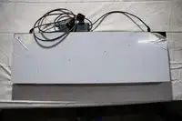 Triumph Neon Sign by Brillite Signs -For Sale