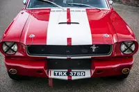 1966 Ford Mustang FIA / HTP-Sold