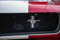 1966 Ford Mustang FIA / HTP-For Sale